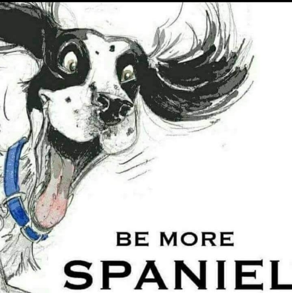 White House Black Market Capri Size 4 - Picture 10 of 10